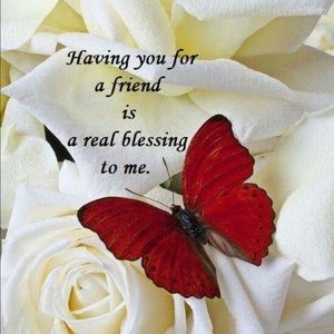 Meet your Posher, Cecelia